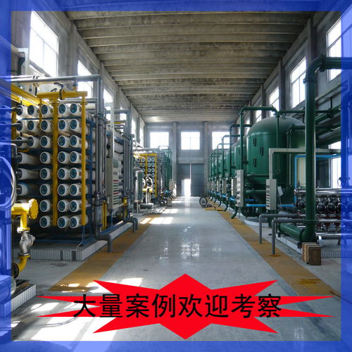 4x100t/h盤(pán)濾+UF+反滲透純水設(shè)備系統(tǒng)基本說(shuō)明與技術(shù)服務(wù)體系